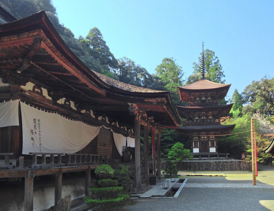 本堂と三重塔